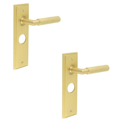2 PACK Luxury Satin Brass Bathroom Door Handle with Backplate - Solid Brass Interior Handle