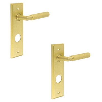 2 PACK Luxury Satin Brass Door Handle with Backplate for Bathrooms - Solid Brass Interior Handle