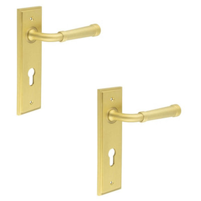 2 PACK Luxury Satin Brass Door Handle with Euro Backplate - Solid Brass Interior Handle