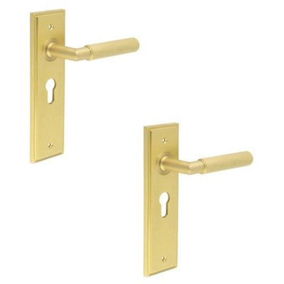 2 PACK Luxury Satin Brass Euro Door Handle with Backplate - Solid Brass Interior Handle