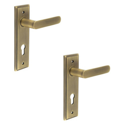 2 PACK Modern Antique Brass Door Handle with Euro Backplate - Solid Brass Interior Handle