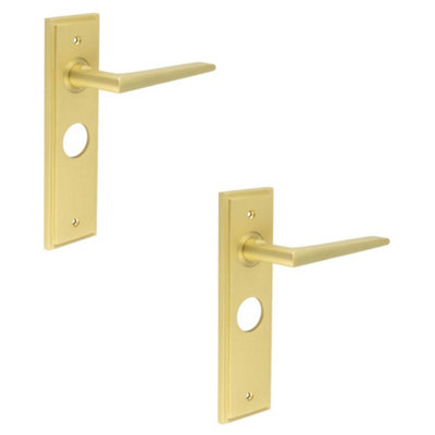 2 PACK Satin Brass Bathroom Door Handle with Backplate - Elegant & Durable Design - Solid Brass Interior Handle