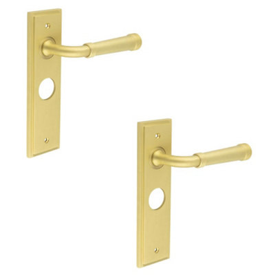 2 PACK Satin Brass Bathroom Door Handle with Backplate - Solid Brass Interior Handle