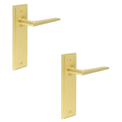 2 PACK Satin Brass Door Handle Latch Backplate - Elegant and Durable Design - Solid Brass Interior Handle