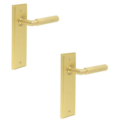 2 PACK Satin Brass Door Handle Latch Backplate for Elegant Interiors - Solid Brass Interior Handle