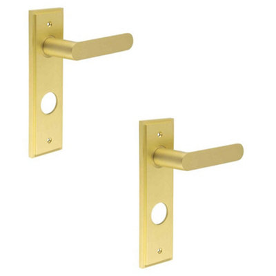 2 PACK Satin Brass Door Handle with Backplate for Bathrooms - Solid Brass Interior Handle