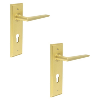 2 PACK Satin Brass Euro Backplate Door Handle - Modern Luxury - Solid Brass Interior Handle