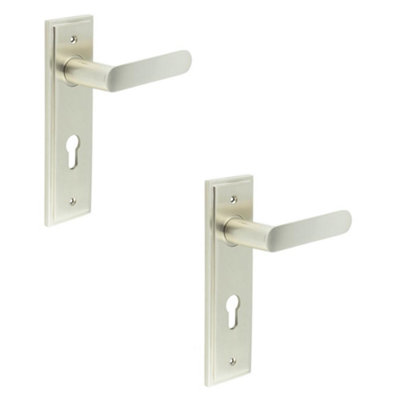 2 PACK Satin Nickel Door Handle with Euro Backplate - Elegant Solid Brass Design - Solid Brass Interior Handle