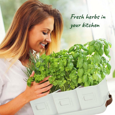 Indoor herb pots discount