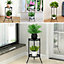 2 Tier Plant Stand Indoor Outdoor Black Metal Rustproof Stable Plant Stands 24x50cm