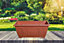 2 x 40cm Small Plastic Venetian Window Box Trough Planter Pot Terracotta Colour