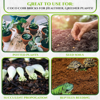 Fibres Coco Horticulture YourGEAR Terreau Coco 324L - 36 Blocs Compressés Bio Sans Tourbe 650g Eau De Coco Bio