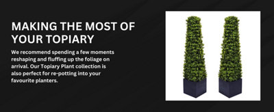 2 x Artificial Premium Quality Topiary Boxwood Pyramid Trees in Black ...