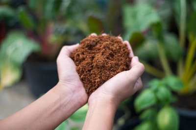 2 x Coco Peat Brick Coir Compost Block 10L Coconut Potting Fibre ...