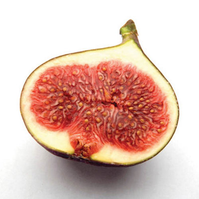 2 x Fig Tree Brown Turkey in 9cm pots - Hardy Fruit Plant for Gardens
