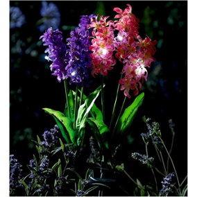 2 x Hyacinth Style Solar Stake Lights - Pink & Purple Flower Shaped Outdoor Garden Lighting Decorations - Each Measure H70cm