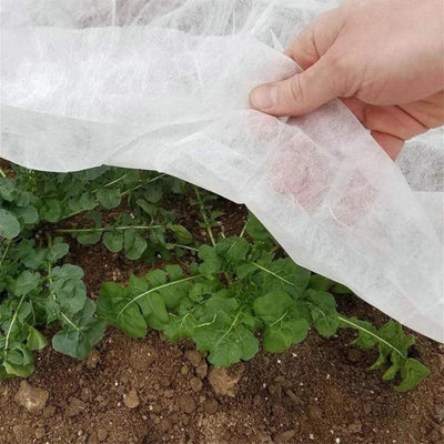 2 x Plant Frost Protection Fleece Sheet Garden Cover Horticultural Crops 8M x 1.5M