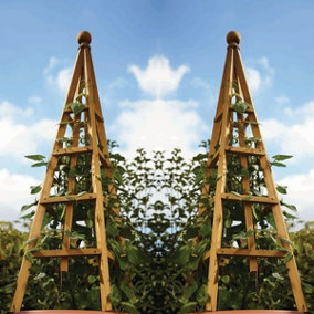 2 x Smart Garden Tan Wooden Woodland Obelisk 1.5m Plant Support Pine