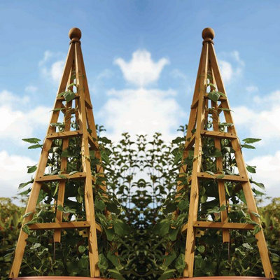 2 x Smart Garden Tan Wooden Woodland Obelisk 1.9m Plant Support Pine Pergola