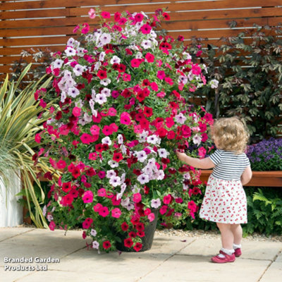 2 x Tower Pot Flower Planter with Trellis Frame for Climbing Plants - for Gardens, Patios or Indoors Use