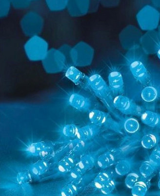 20 Blue LED String Lights Battery Operated Christmas Lights Clear Cable