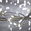 20 LED Wire String Fairy Clear White Xmas Decoration Lights