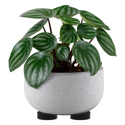 soil moisture meter for indoor plants TEK-255G Indoor Outdoor Soil Moisture Meter Aluminium 17cm Probe Gardening  Farming Soil Testing Tool main image 1