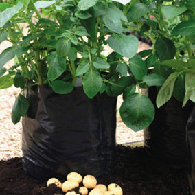 20 Potato Growing Bags Black/Grey Reusable Durable x  8L Capacity Growing Bags by Thompson and Morgan