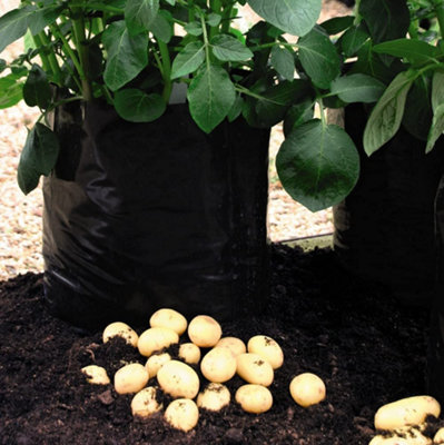 20 Potato Growing Bags Black/Grey Reusable Durable x  8L Capacity Growing Bags by Thompson and Morgan