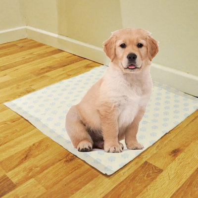 20 Sheets of 60x40cm 3 Highly Absorbent Layers Of Hygienic Easy To Dispose Leak Proof Dog Puppy Toilet Training Pads DIY at B Q