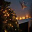 200 LED 20m Premier Christmas Indoor Outdoor Multi Function Battery Operated String Lights with Timer in Vintage Gold