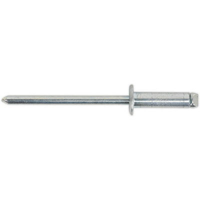 200 Pack High-Quality 4.8mm x 12mm Steel Rivets with Standard Flange