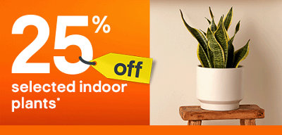 Shop 25% off indoor plants. Includes Verve Snake plant. Terms and conditions at the end of this page. Terms & conditions apply, see the *Promotional terms & conditions at the end of the page.
