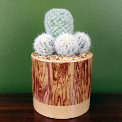 20cm Artificial Cactus Plant Arrangement in Ceramic Planter DIY at B&Q