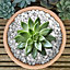 20kg Fluroescent White Coloured Plant Pot Garden Gravel - Premium Garden Stones for Decoration
