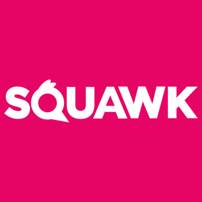 20kg SQUAWK No Mess Seed Mix - Husk-Free Premium Grade Wild Bird Food Mixture