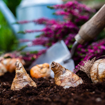 20L Bulb Fibre Compost Potting Soil by Laeto Your Signature Garden