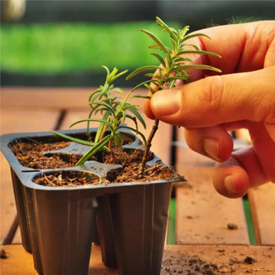 20L Seed & Cutting Compost Potting Soil by Laeto Your Signature Garden - FREE DELIVERY INCLUDED - 9