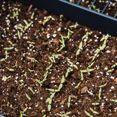 20L Seed & Cutting Compost Potting Soil by Laeto Your Signature Garden