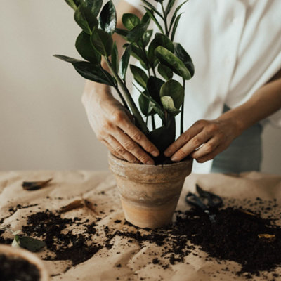 20L Seed & Cutting Compost Potting Soil by Laeto Your Signature Garden