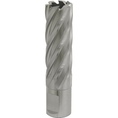20mm x 50mm Depth Rotabor Cutter - M2 Steel Annular Metal Core Drill 19mm Shank