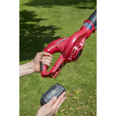 20V Lightweight Cordless Leaf Blower - BODY ONLY - DIY Gardening Leaf Blower - 4
