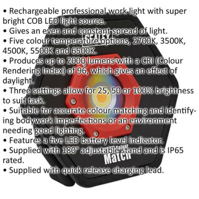 20W COB LED Rechargeable Floodlight - Lithium Ion Battery - Brightness Setting