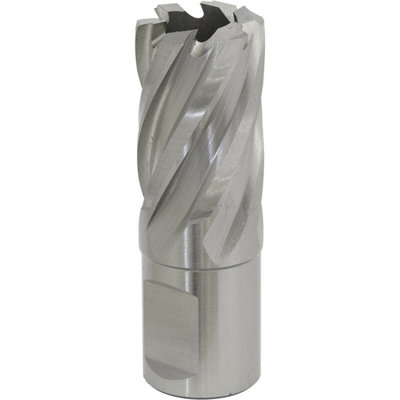 21mm x 25mm Depth Rotabor Cutter - M2 Steel Annular Metal Core Drill ...