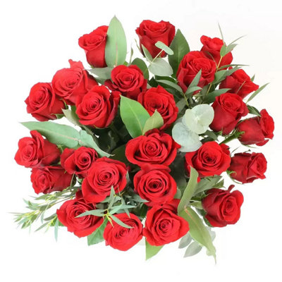 24 Freedom Red Roses Bouquet with Eucalyptus, Includes Greeting Card ...