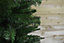 240cm (8ft) Snowtime Pencil Style Slim Christmas Tree in Green