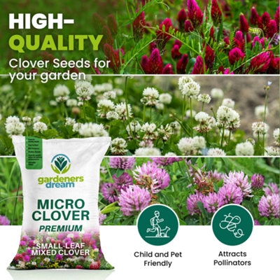 250g Micro Mixed Clover Grass Seed Eco-Friendly Drought Resistant Lawn Cover
