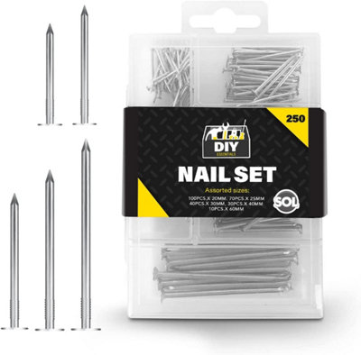 250pk Assorted Nails for Wood, Iron Nails for Hanging Pictures - Long, Medium and Small Wall Nails for DIY and Crafts, Woodwork