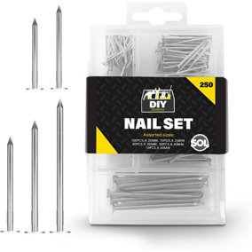250pk Assorted Nails for Wood, Iron Nails for Hanging Pictures - Long, Medium and Small Wall Nails for DIY and Crafts, Woodwork