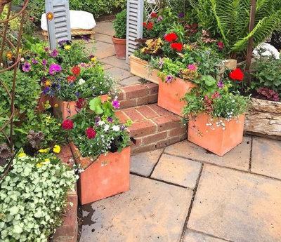 25cm Terracotta Fibrecotta Small Cube Planter - 6